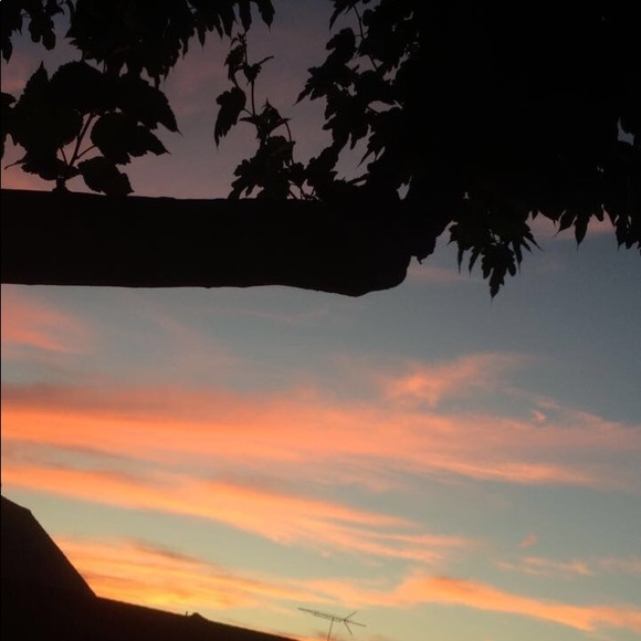 Hey I'm Alicia! Read a bit about me below🌻 - Picture 1 of 1